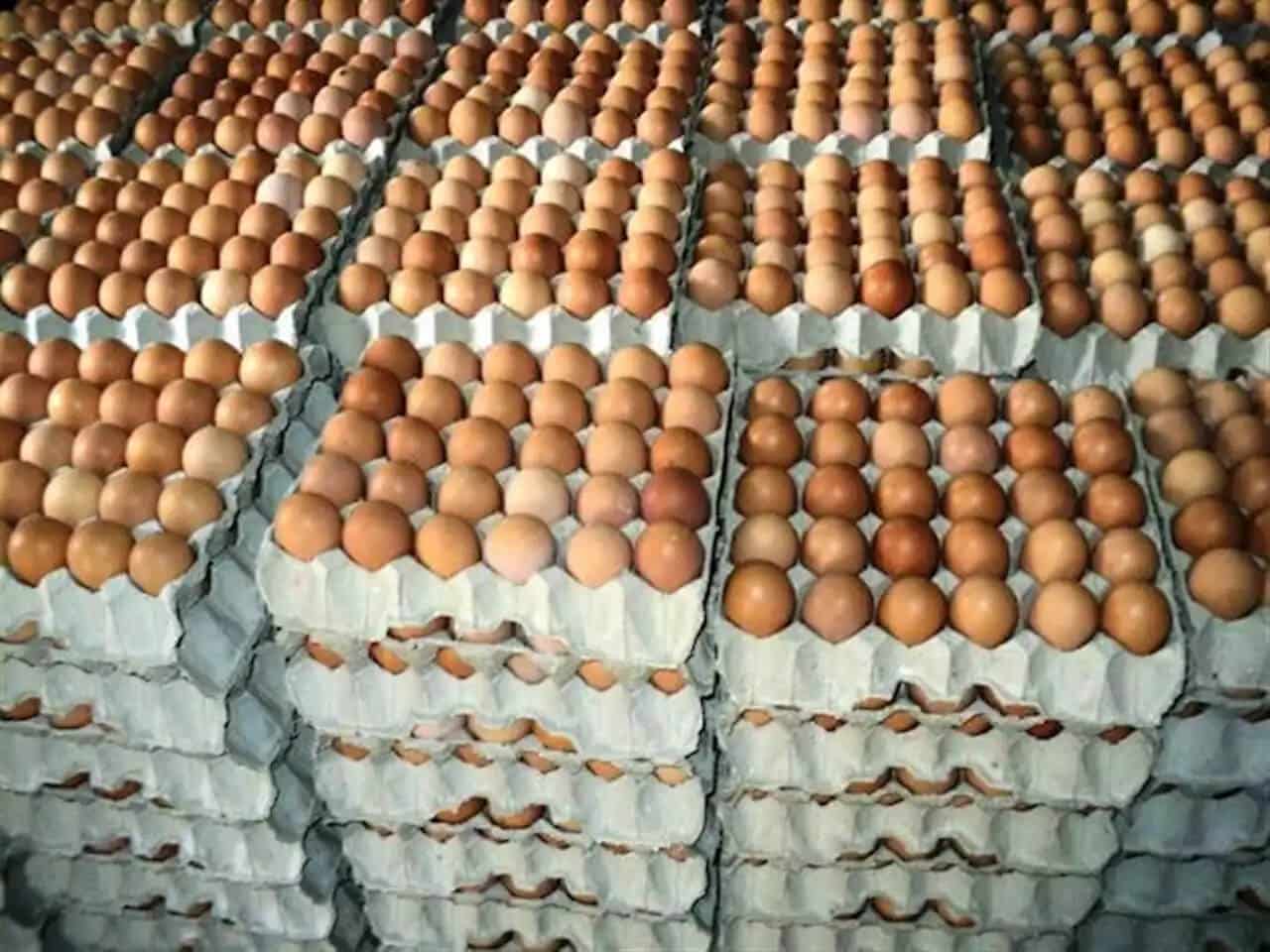 Brown Eggs
